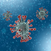 Coronavirus:  Dieci comportamenti da seguire  e altre informazioni