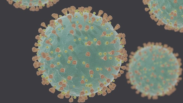 Emergenza Coronavirus: chiusura del parco Oriana Fallaci